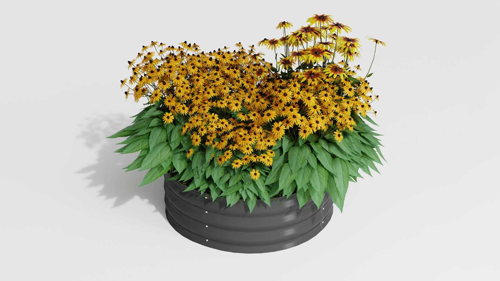 Raised Garden Bed FC-C4C view 1