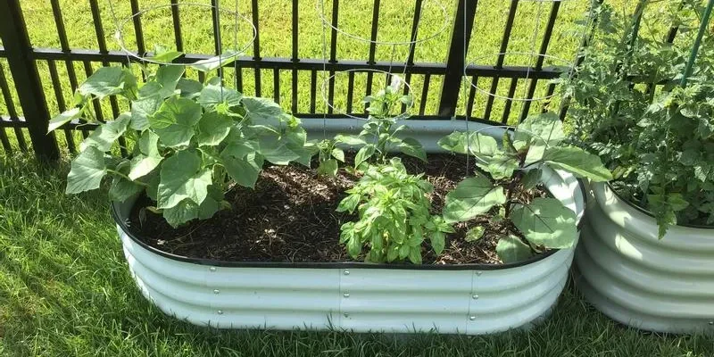 Planted corrugated metal raised garden bed on a garden lawn